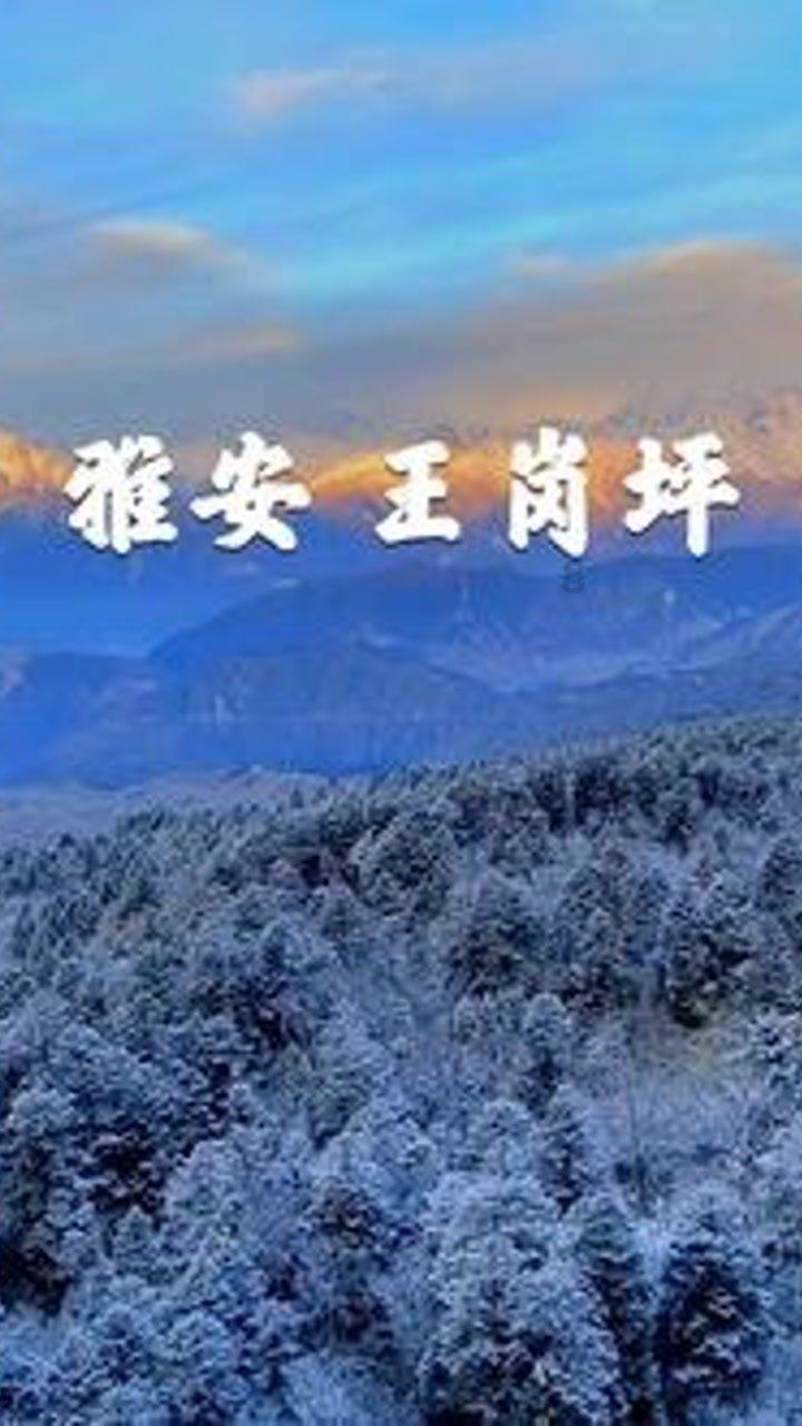 我叫MT4