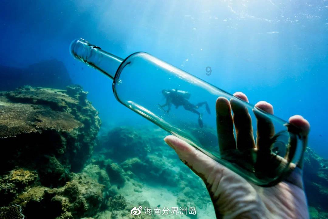 逃出蜜蜂岛