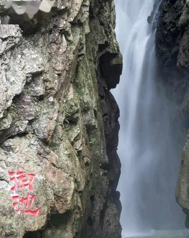省人大代表侯宪会:借力“山河四省”热度,主动引客入鲁