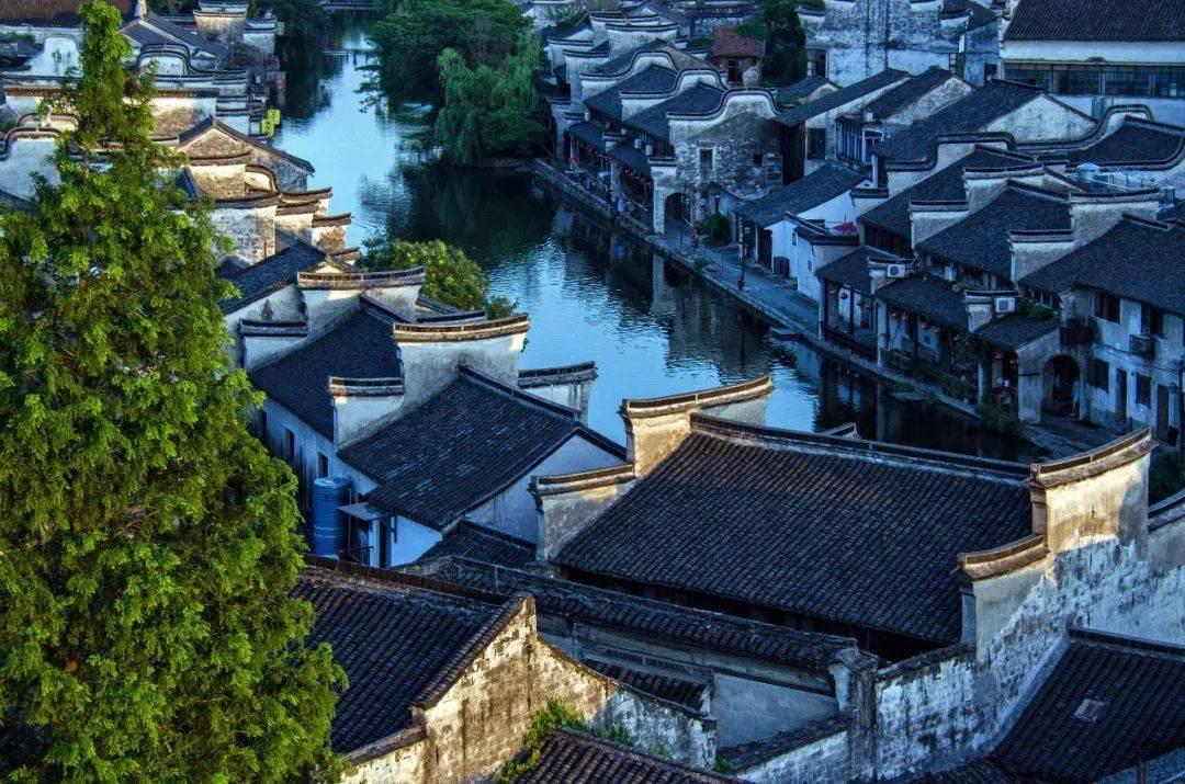 奥莉的夏威夷之旅